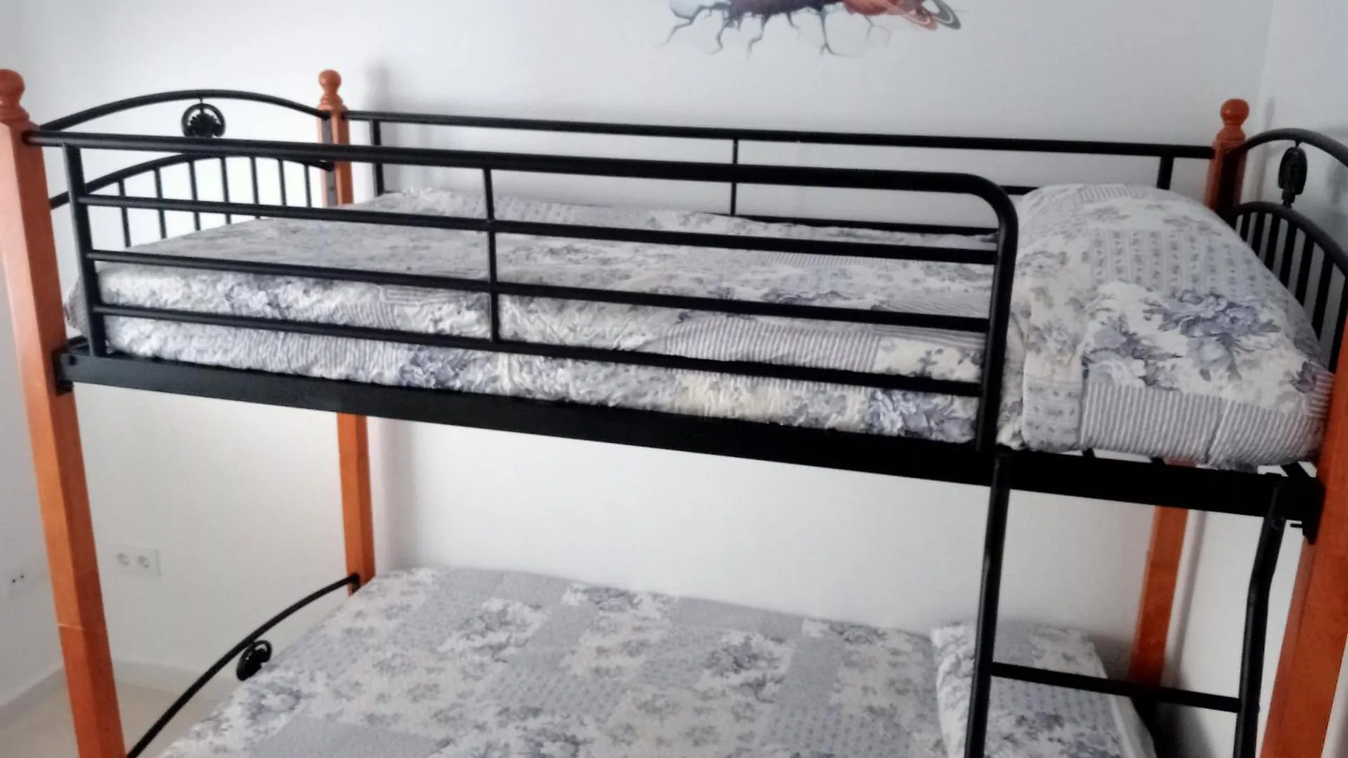 Apartment Vera Albacora